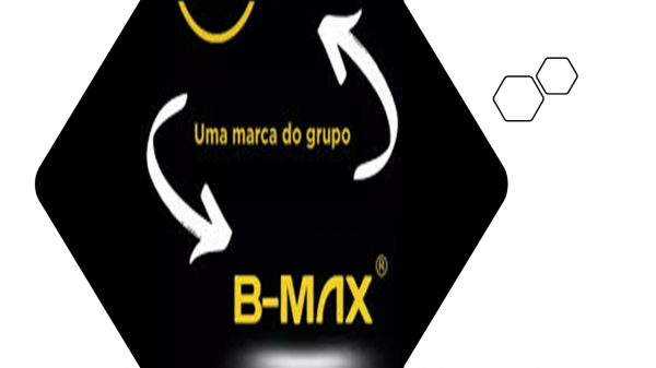 B-MAX